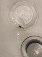 arachnid bug plastic_cup scorpion sink subject:animal type:photograph // 2000x2667 // 325KB