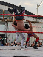 crowd fight sport squared_circle subject:human tagme type:photograph wrestler wrestling // 2000x2667 // 580KB