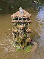 fountain moss murky_water pond subject:object type:photograph water // 2000x2667 // 911KB