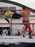 costume fight mask monkey pose:dropkick pose:standing short_hair sport squared_circle subject:human type:photograph wrestler wrestling // 2000x2667 // 636KB