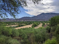 cloud color:green farmland landscape mountain sky subject:animal subject:plant tree type:photograph // 2267x1700 // 938KB