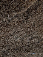 subject:object tagme type:photograph // 2000x2667 // 983KB